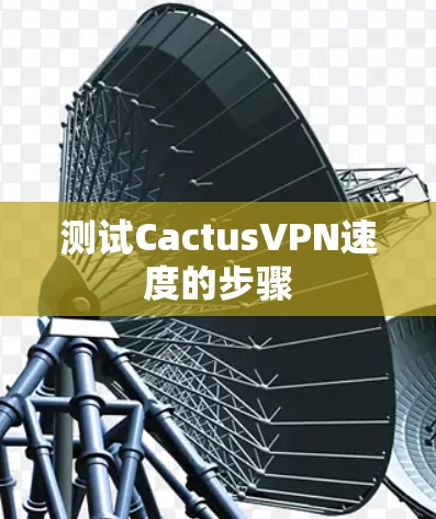 测试CactusVPN速度的步骤