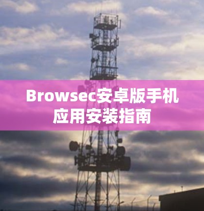 Browsec安卓版手机应用安装指南
