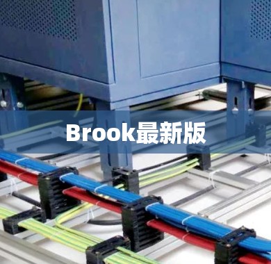 Brook最新版