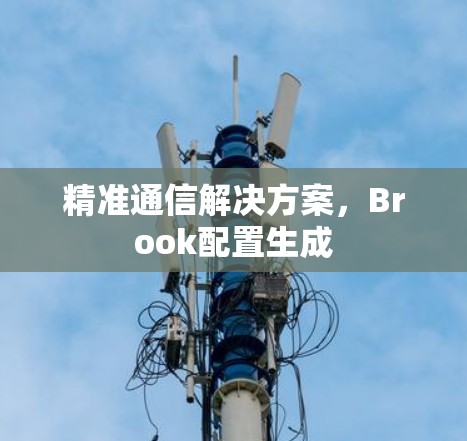 精准通信解决方案,Brook配置生成 精准通信解决方案,Brook配置生成