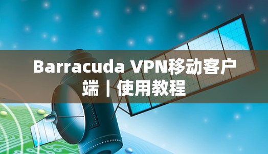Barracuda VPN移动客户端｜使用教程