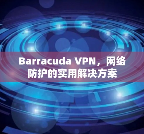 Barracuda VPN，网络防护的实用解决方案