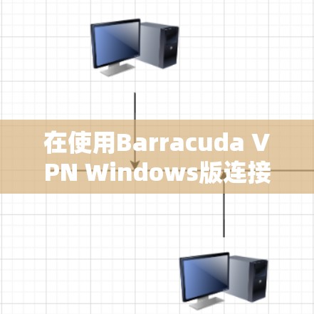 在使用Barracuda VPN Windows版连接时，以下是一个清晰的指南