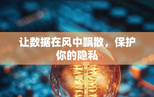 让数据在风中飘散,保护你的隐私 让数据在风中飘散,保护你的隐私