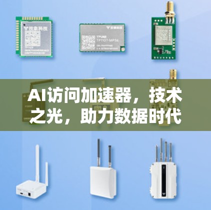 AI访问加速器，技术之光，助力数据时代的人类智慧