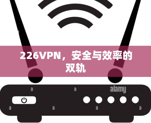 226VPN，安全与效率的双轨
