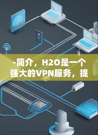 -简介，H2O是一个强大的VPN服务，提供多种加密协议，如TLS 1.2和DHE-SHA-256，免费提供，支持多种语言和操作系统