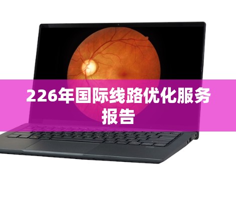 226年国际线路优化服务报告