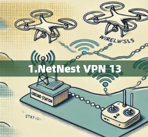 1.NetNest VPN 13