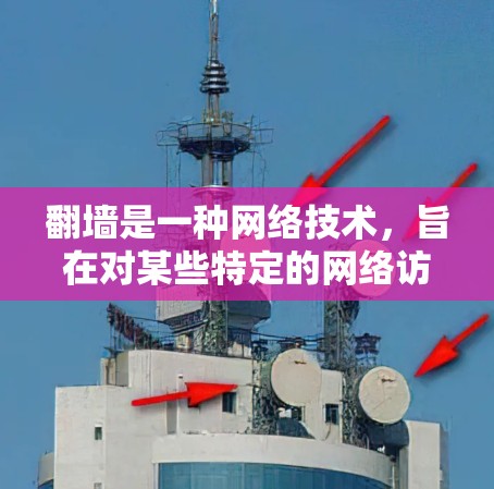 翻墙是一种网络技术，旨在对某些特定的网络访问渠道进行限制，以保护隐私、防止数据泄露或防止非法活动。以下是对翻墙的详细分析