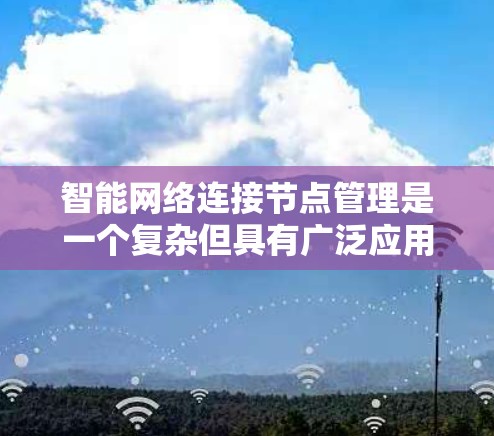 智能网络连接节点管理是一个复杂但具有广泛应用的领域，涉及网络管理、算法优化和安全防护等多个方面。以下是对这个领域的总结和建议